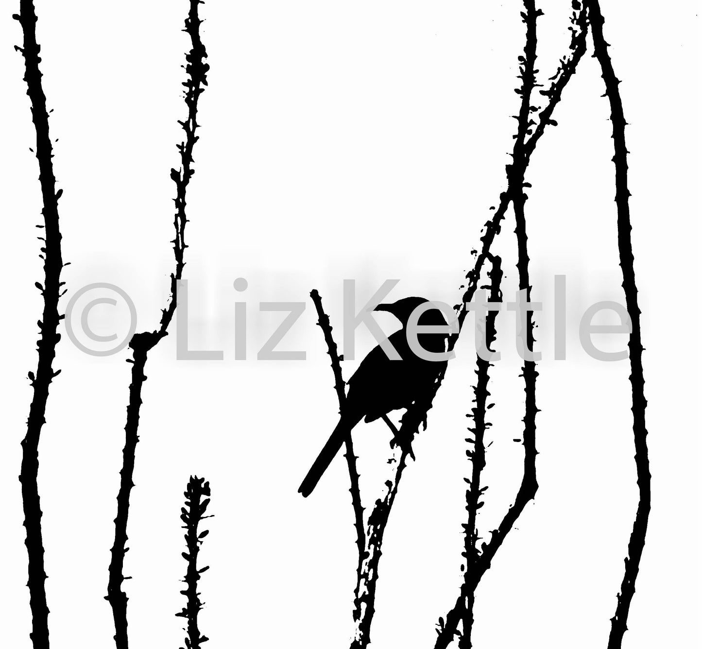 Southwest Themed Thermofax Screens